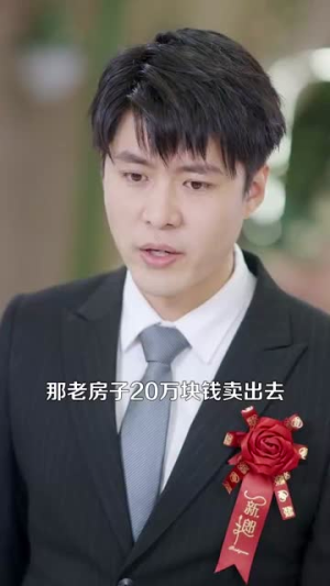 彩礼谈崩后继承万亿家产（100集）短剧合集4K修复版
