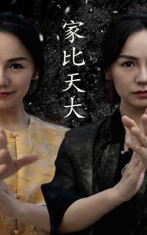 家比天大(63集) 家比天大(63集)短剧最终章免费合集