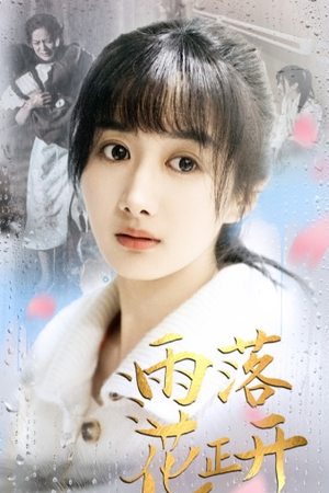 雨落花正开（62集）短剧全剧免费合集