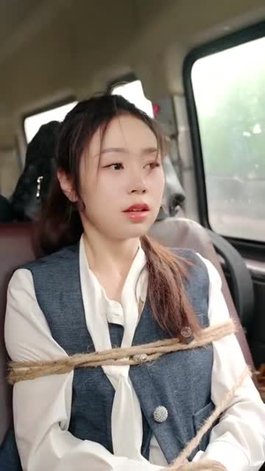 晚风遇见你（78集）短剧完结全集限免刷