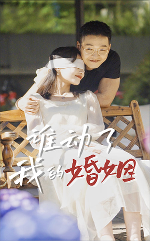 谁动了我的婚姻（24集）短剧经典全集任你选