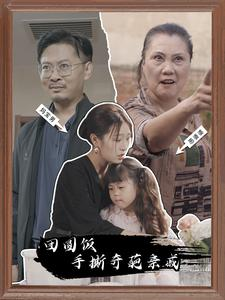 团圆饭手撕奇葩亲戚（40集）短剧全集畅看无门槛