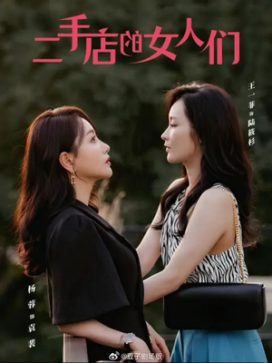 二手店的女人们（66集）短剧经典全集任你选