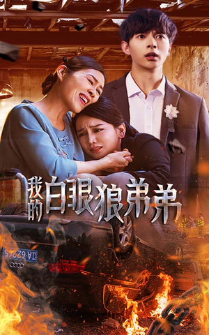 我的白眼狼弟弟(69集) 我的白眼狼弟弟(69集)短剧全剧终高清放送