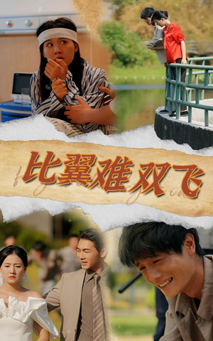 比翼难双飞（30集）短剧全集解锁零收费