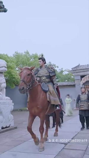 风林残月（82集）短剧全剧终在线连看