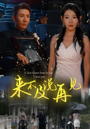 来不及说再见(30集) 来不及说再见(30集)短剧终极大放送合集