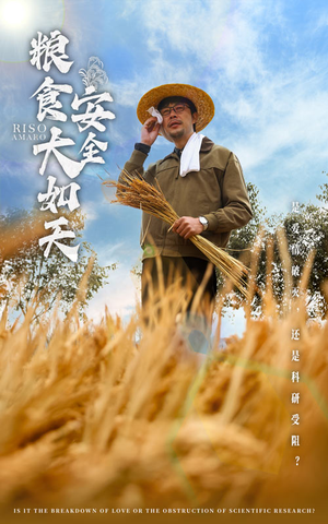 粮食安全大如天(43集) 粮食安全大如天(43集) 短剧全集无删完整版