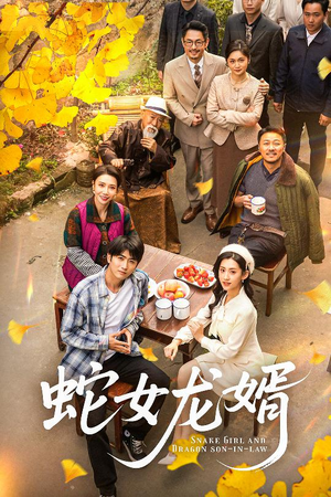 不负韶华不负卿（52集）短剧结局篇全集直通