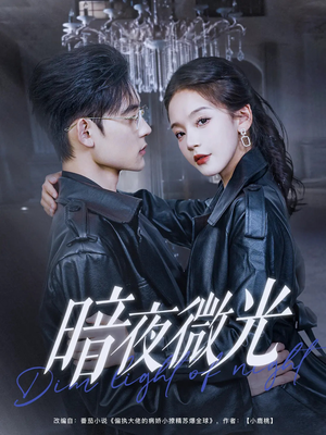 暗夜微光（86集）短剧完整版全集放送