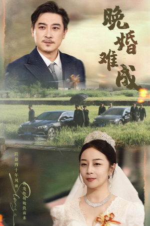 晚婚难成(60集) 晚婚难成(60集)短剧合集4K修复版