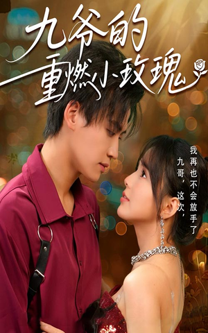 九爷的重燃小玫瑰（67集）短剧全剧终在线连看