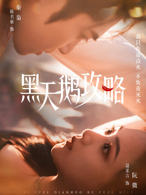 黑天鹅攻略（65集）短剧宝藏全集限免看