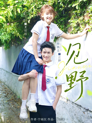 见野（79集）短剧终极大结局合集