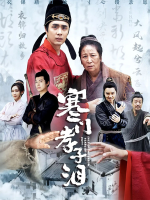 寒门孝子泪（31集）短剧合集导演剪辑版