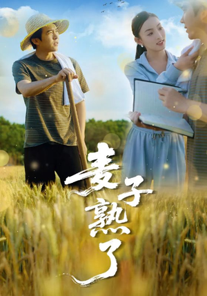 麦子熟了（52集）短剧大结局全集解锁