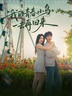 我的青春小鸟一去再回来(95集) 我的青春小鸟一去再回来(95集)短剧完整版全集放送