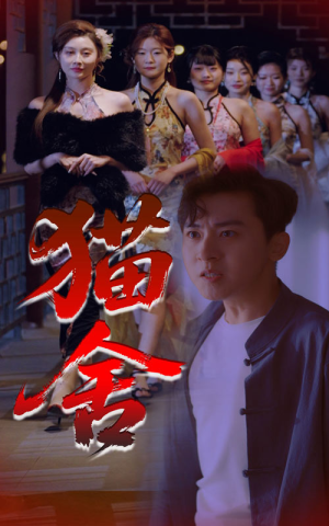 猫舍（34集）短剧合集彩蛋完整版