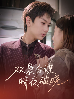 双枭合谋暗夜破晓（30集）短剧全集特惠限时看