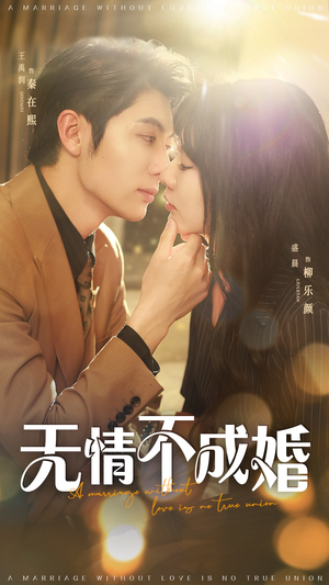 无情不成婚（70集）短剧收官全集限免看