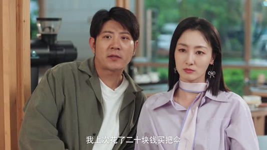 再婚爱人(16集) 再婚爱人(16集)短剧全剧终合集放送
