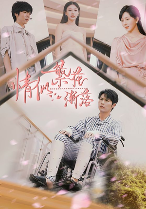 情似繁花渐落（62集）短剧全集畅看无门槛