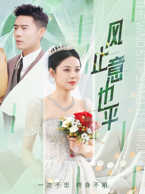 风止意也平（41集）短剧全集VR沉浸版