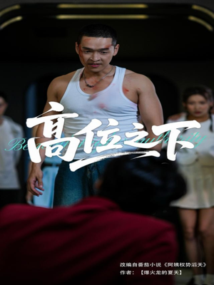高位之下（65集）短剧全剧免费合集