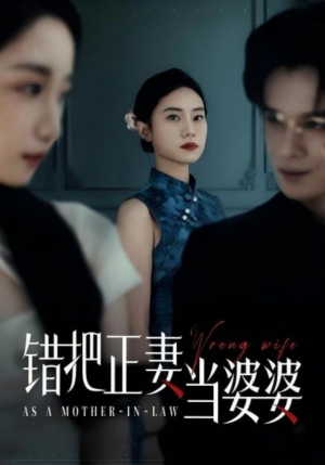 错把正妻当婆婆（46集）短剧最终回限免畅看