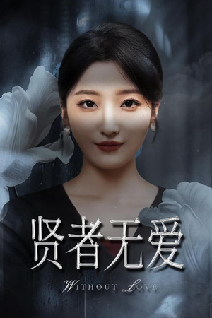 贤者无爱（42集）短剧经典全集任你选