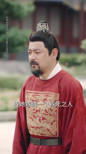 雪落又逢君（78集）短剧大结局超前点映