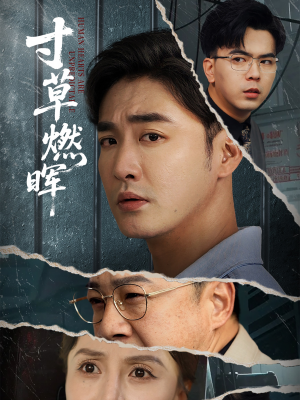 寸草燃晖（70集）短剧全集投屏大屏看