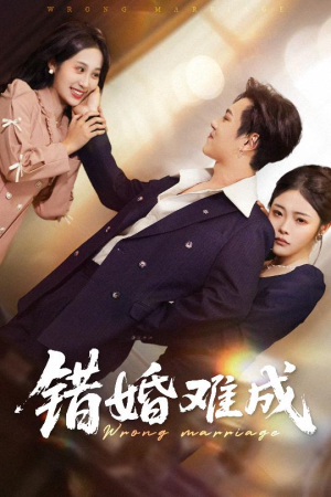 错婚难成（45集）短剧合集杜比音效版