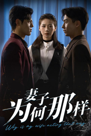妻子为何那样（60集）短剧全集幕后花絮版