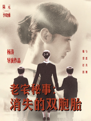 老宅秘事消失的双胞胎(90集) 老宅秘事消失的双胞胎(90集)短剧全剧终在线连看