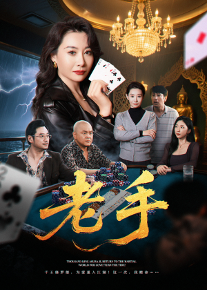老手（36集）短剧全集VR沉浸版