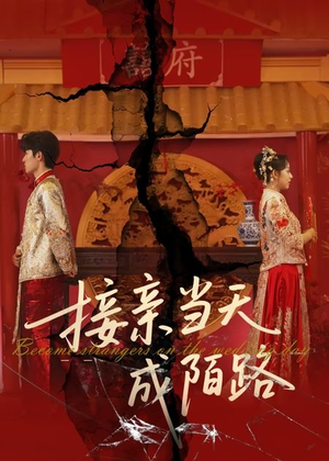 接亲当天成陌路（50集）短剧大结局全集解锁
