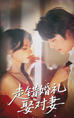 走错婚礼娶对妻(60集) 走错婚礼娶对妻(60集)短剧大结局全集特惠