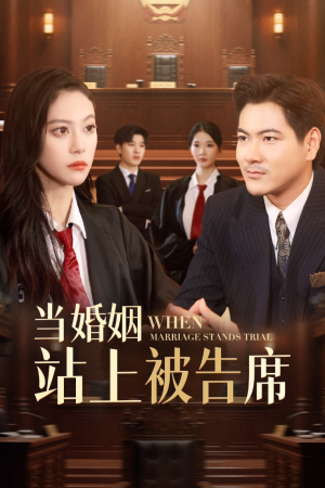 当婚姻站上被告席(30集) 当婚姻站上被告席(30集)短剧爆款全集在线播