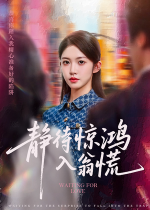 静待惊鸿入翁慌（40集）短剧全集VR沉浸版