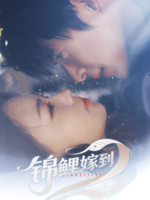 锦鲤嫁到（67集）短剧全集畅看无门槛