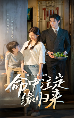 命中注定缘归来（63集）短剧合集彩蛋完整版