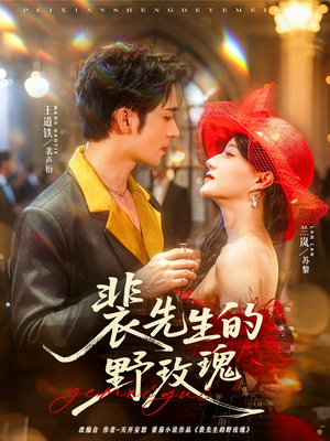 裴先生的野玫瑰（72集）短剧全剧终高清放送