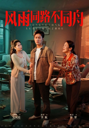 风雨同居不同舟（32集）短剧合集杜比音效版