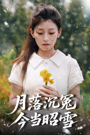 月落沉冤今当昭雪（60集）短剧全集秒播无卡顿