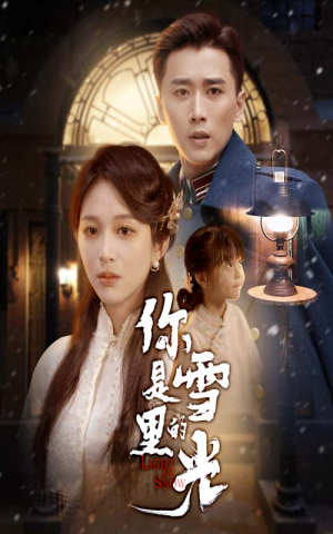 你是雪里的光（64集）短剧精选全集无广告