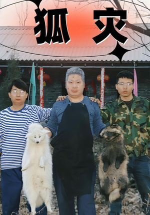 狐灾（25集）短剧全季限免大放送