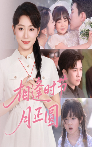 相逢时节月正圆（54集）短剧完结篇全集连播