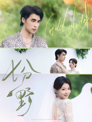 七分野（78集）短剧完整版全集放送