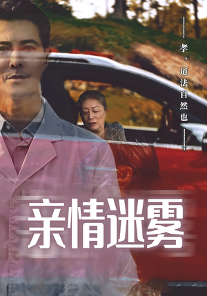 亲情迷雾（30集）短剧合集导演剪辑版